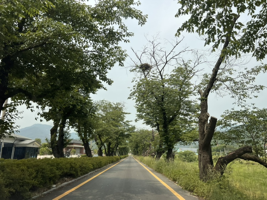 제일식당 사진 1