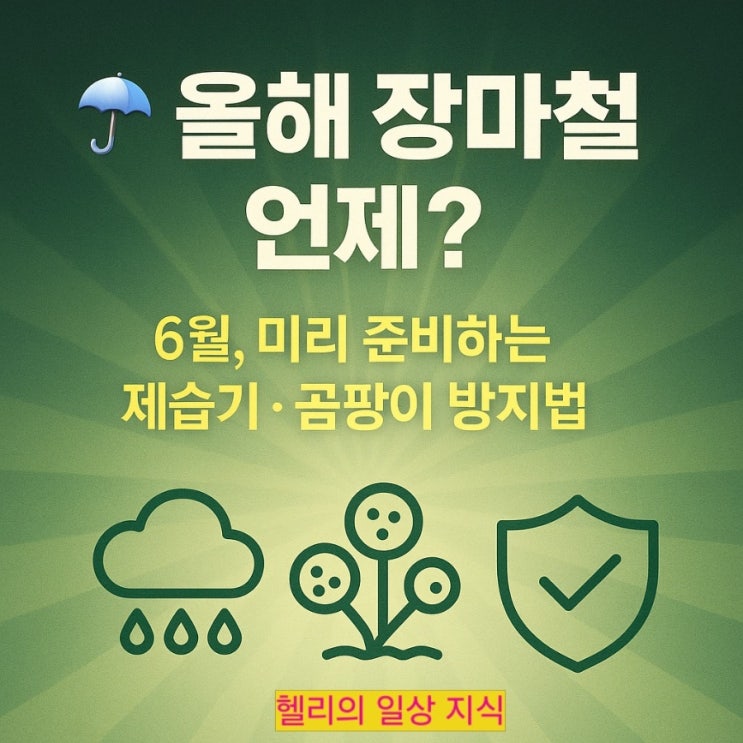   2025년 장마기간 장마철ㅡ 6월 장마기간 미리 준비하는 제습기 · 곰팡이 방지법