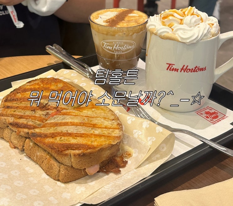  [작업하기 좋은 카페 팀홀튼] 인생 첫 팀홀튼?