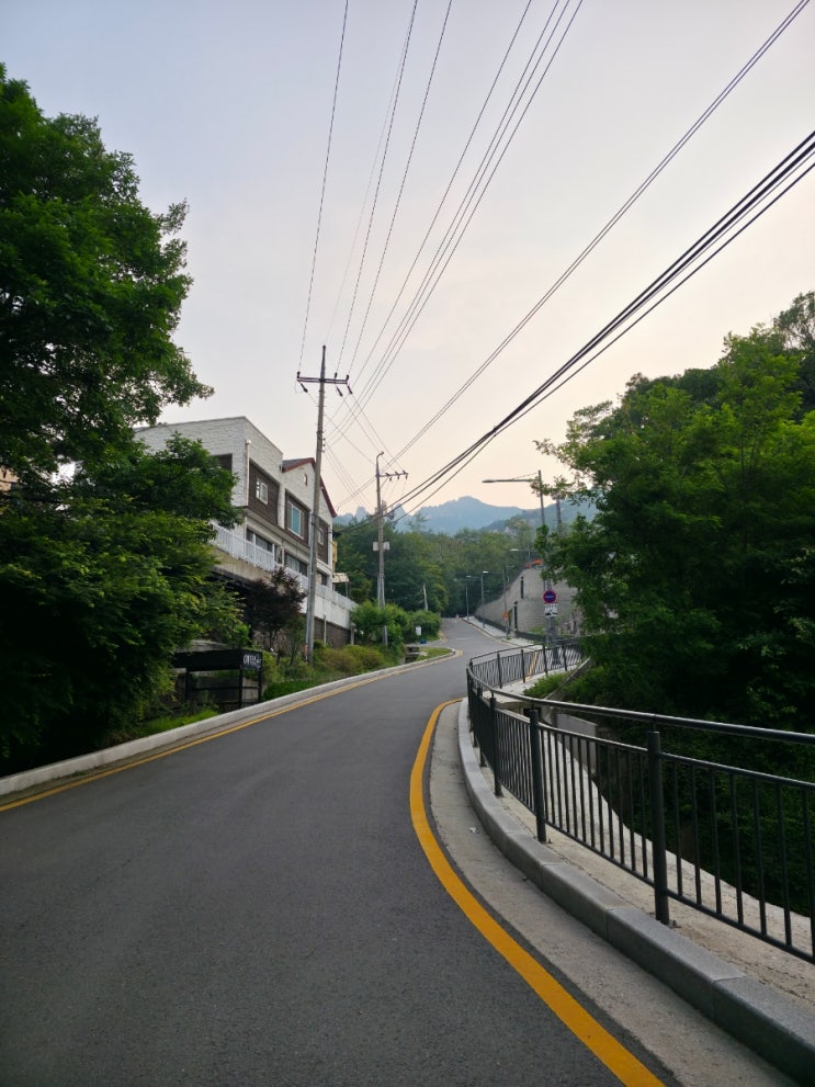  등산 초보의 뒷산 도전기! 일상 속 건강 챙기기
