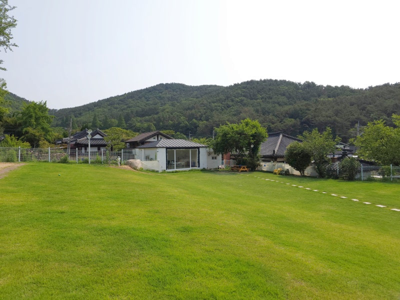 사진 8