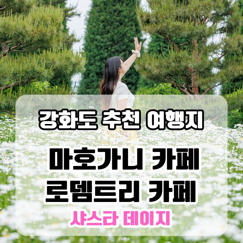 로뎀트리카페 사진 1