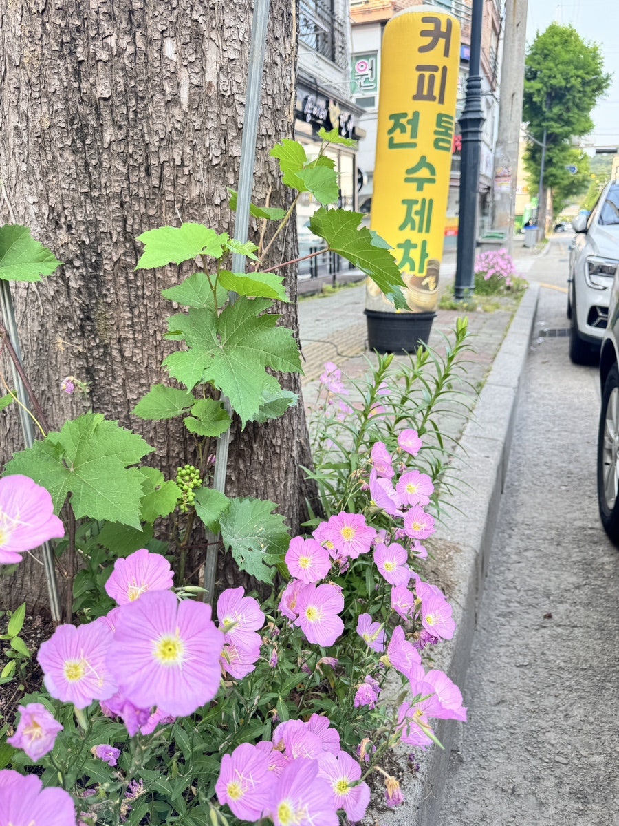 카페루앤비 사진 4