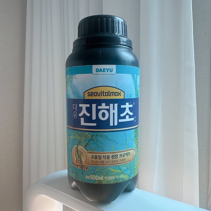  대유 진해초 식물영양제로 식물 케어 2주 후기