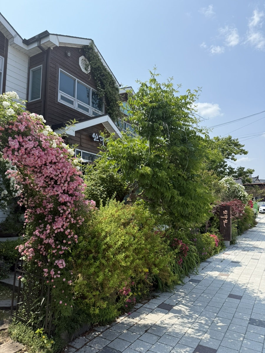 인과인 사진 2
