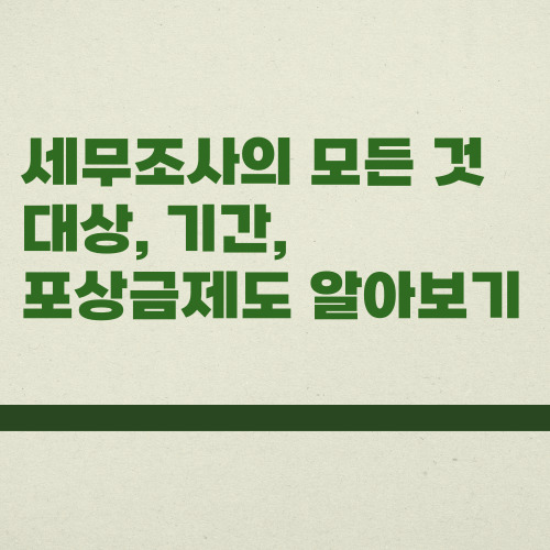  세무조사 대상 선정 기준과 기간 포상금 실제 사례로 알아보기