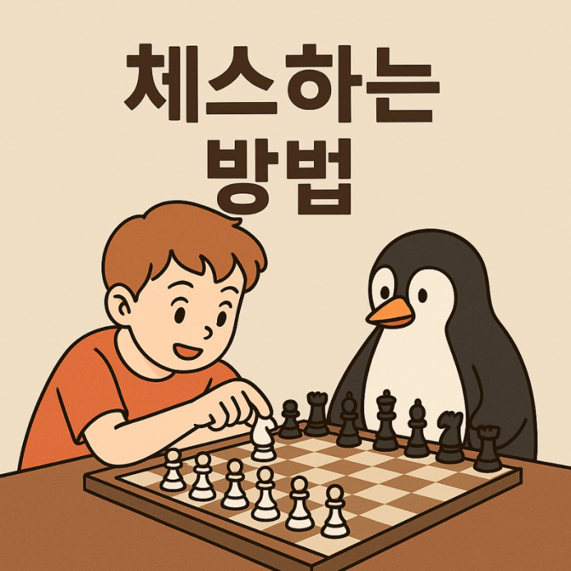 초보도 쉽게 이해하는 체스 룰 정리와 놀이팁