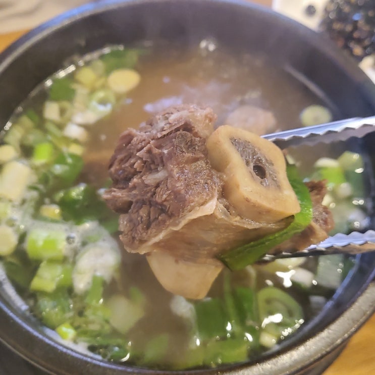  전주백송회관_전주 비빔밥 맛집, 갈비탕까지 완벽한 재방문 의사 100% 식당