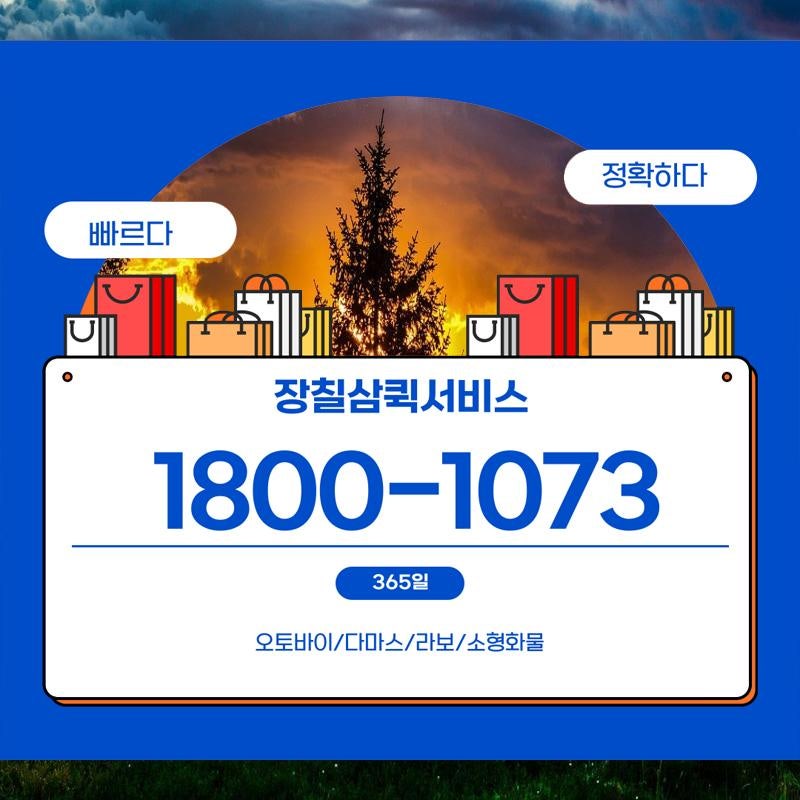 프리마베라 사진 4