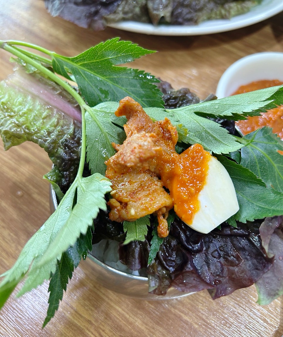 제주통도야지 사진 2