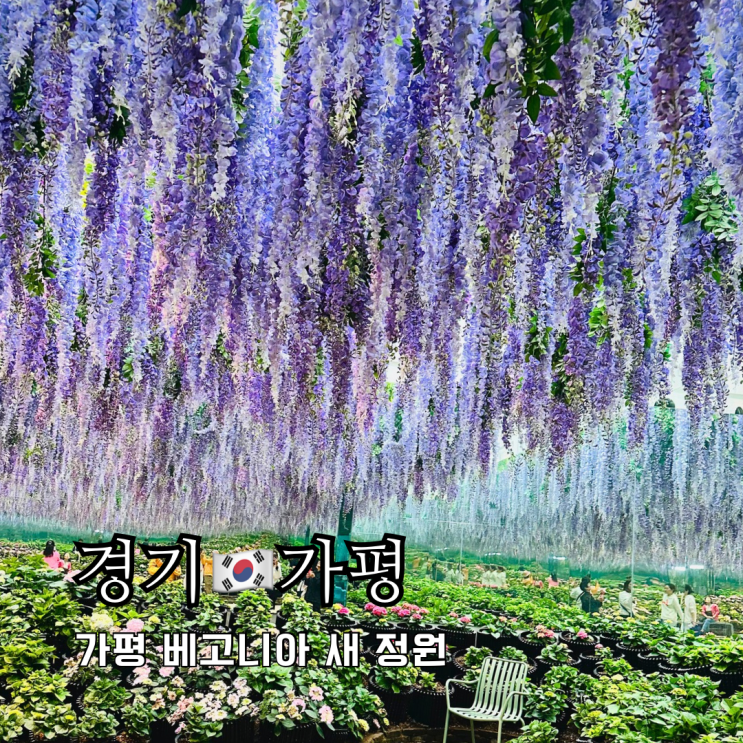 서울 근교 여행 가볼만한곳 가평 베고니아 새정원 입장권 할인 체험비 총정리 서울 근교 여행 가볼만한곳 가평 베고니아 새정원 입장권 할인 체험비 총정리