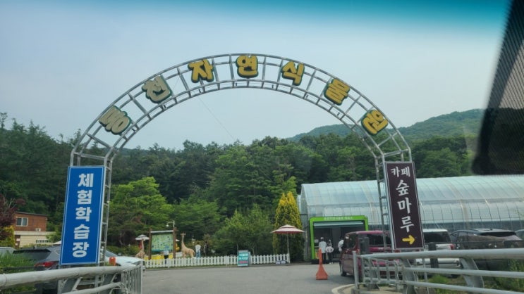  동천자연식물원 - 용인 아이랑 갈만한곳