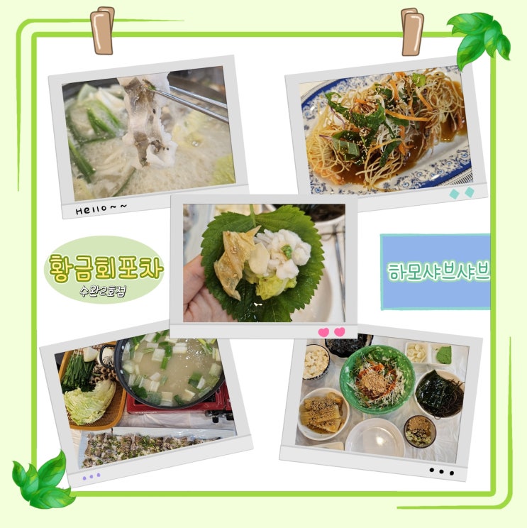  [ 광주 수완 ] 한번 가기 아쉬운 수완 지구 회 맛집! 황금회포차 수완 2호점 _ 광주하모샤브샤브 맛집 (feat. 새우말이탕수육)