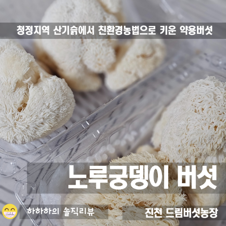  위에좋은식품? 진천 드림버섯농장의 노루궁뎅이버섯