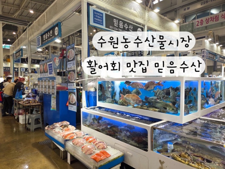  [경기도 수원] 활어회 갑오징어 해산물 맛집 수원농수산물시장 믿음수산