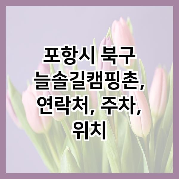 늘솔길캠핑촌