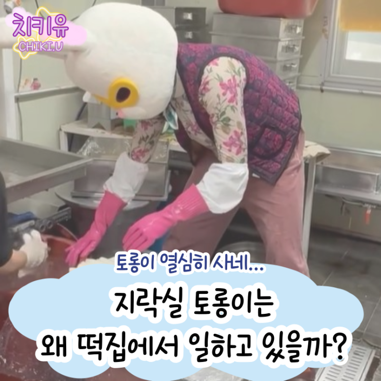  지락실3 토롱이는 왜 우주떡집에서 일하고 있을까?