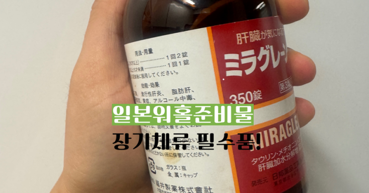  일본 워홀 준비물 체크리스트! 장기체류 eSIM까지 한 번에 정리!