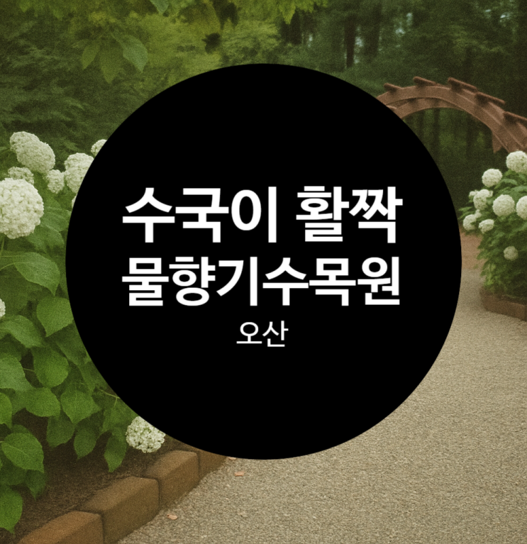  6월 수국 명소 찾는다면? 오산 물향기수목원 정복 코스