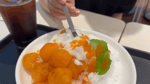  투썸 홍시 빙수 내돈내산 솔직후기 | 투썸플레이스 역삼성홍타워점