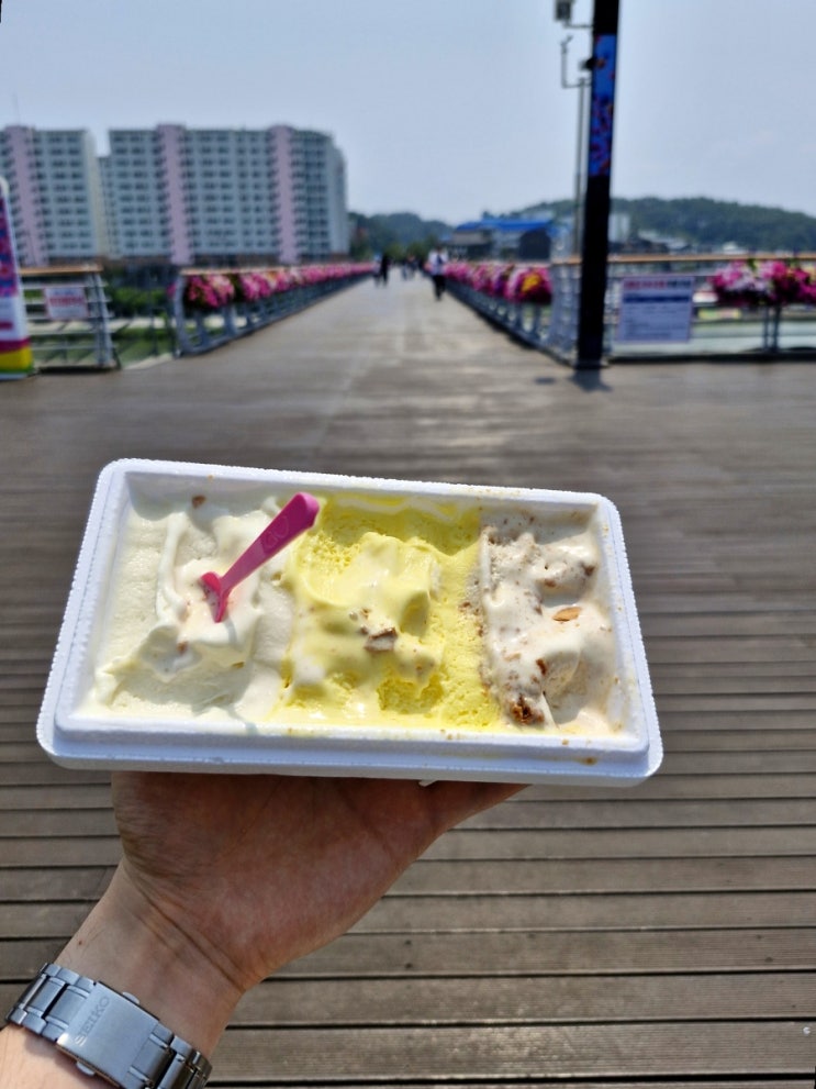  강릉중앙시장맛집 젤라또마켓 후기 강릉 초당순두부 젤라또부터 로투스까지