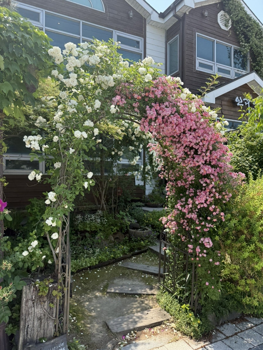 인과인 사진 3