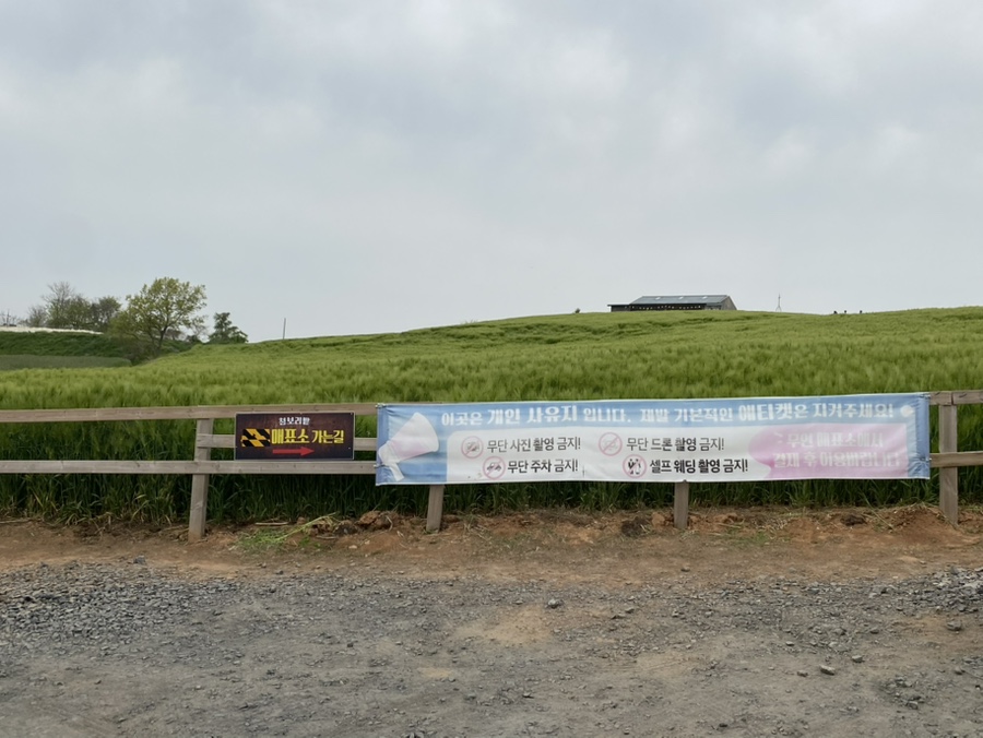 청보리창고 사진 3
