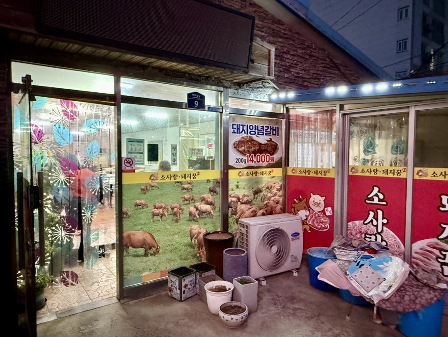 소사랑돼지꿈 사진 2
