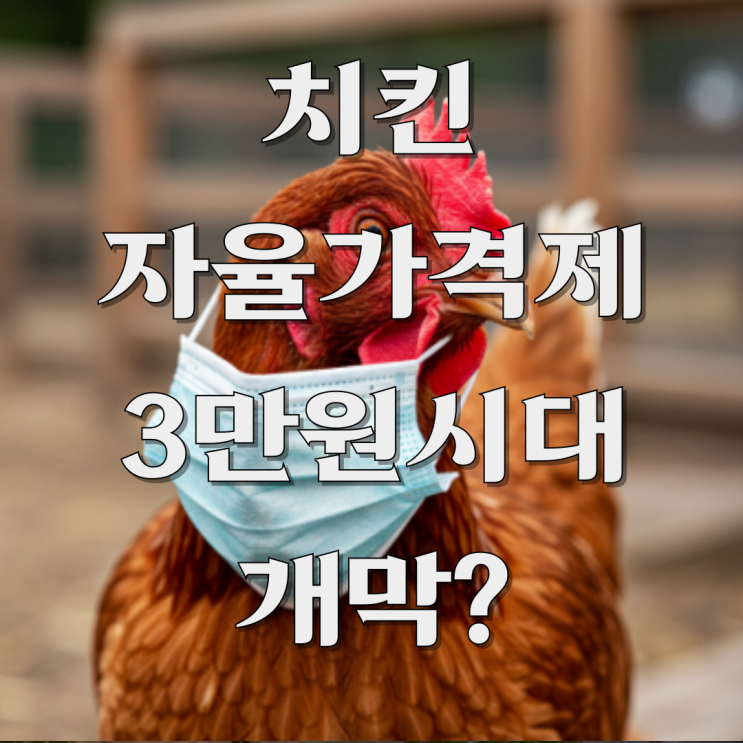  BHC 치킨 가격 자율제 닭값 폭등 치킨 3만원 시대가 온다?