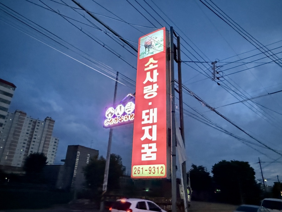 소사랑돼지꿈 사진 1