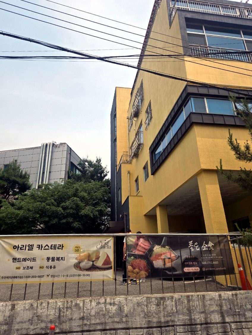 아리엘카스테라 사진 1