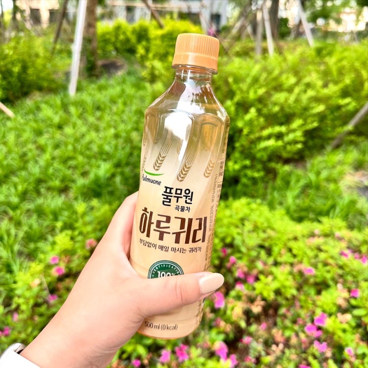  100% 국내산 통귀리를 볶아 우려낸 고소한 곡물차<풀무원 곡물차 하루귀리>|물 대신 언제어디서나 마실 수 있는 부드럽고 고소한 귀리차 추천