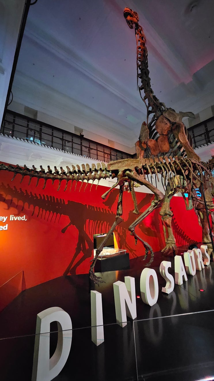  [호주가족여행]시드니 박물관(Australian Museum)