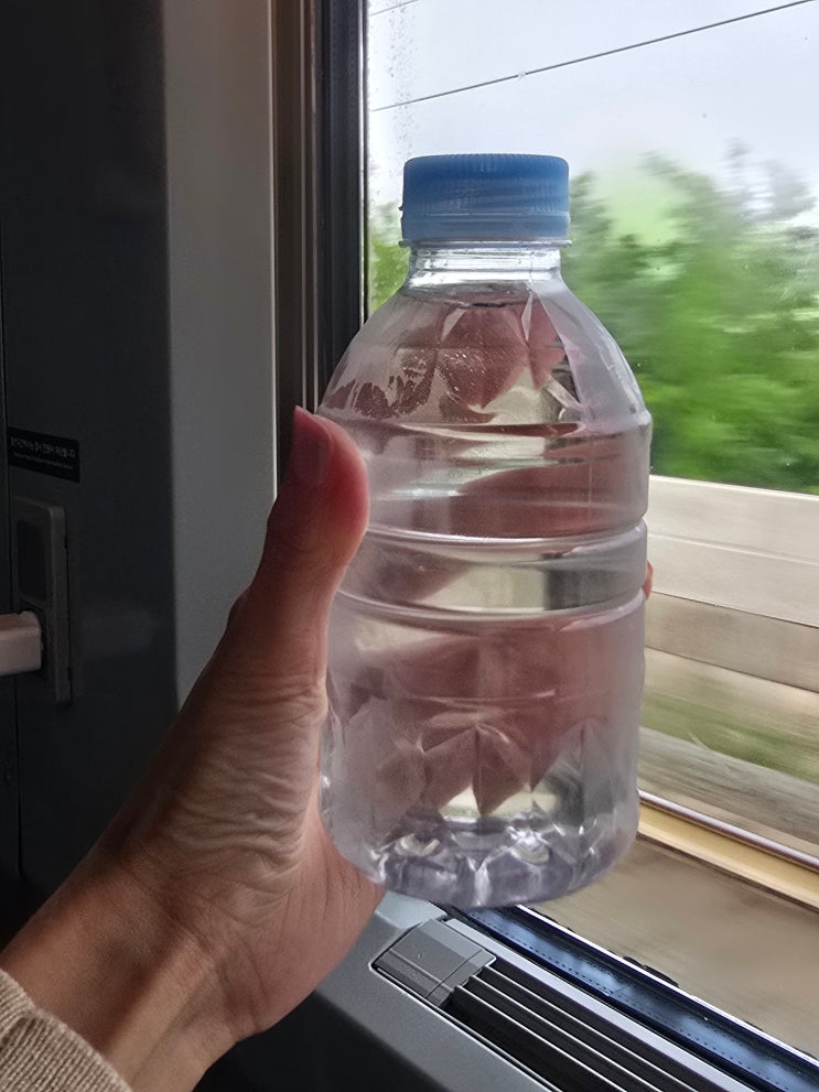  KTX 특실 이용후기, 특실 자판기 과자 서비스 이용 꿀팁
