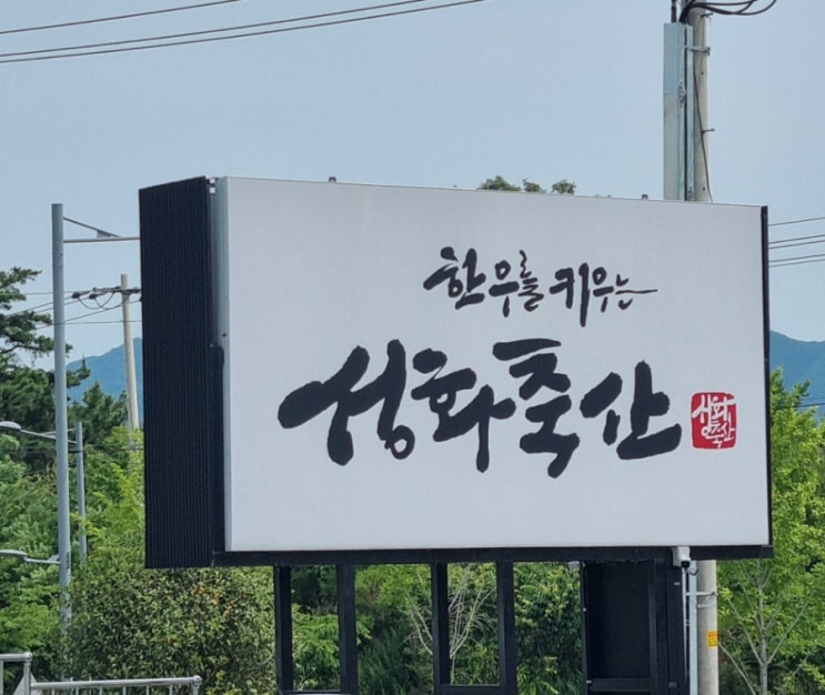 경산한우맛집 성화축산 고기 직접 사서 바로 구워 먹는 정육식당. 신선함에 가격까지 착해