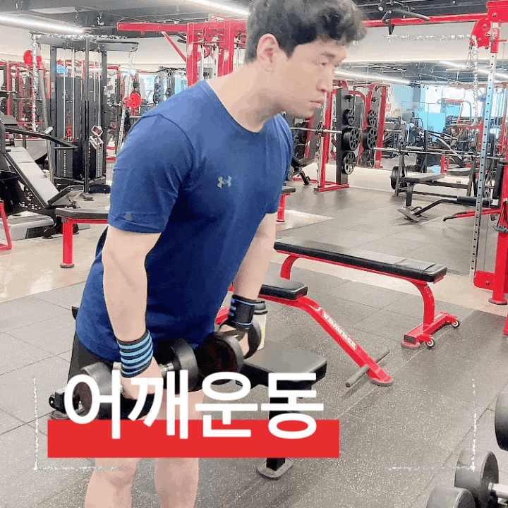  헬스 초보 입문자도 쉽게 따라하는 어깨운동 루틴 방법 및 포인트