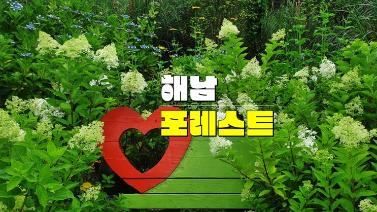 전라도 6월 꽃축제 가볼만한곳 · 2025 해남 수국축제 기간 기본정보 (ft. 해남 포레스트 수목원) 전라도 6월 꽃축제 가볼만한곳 · 2025 해남 수국축제 기간 기본정보 (ft. 해남 포레스트 수목원)