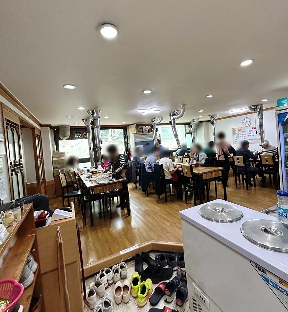 제주통도야지 사진 5