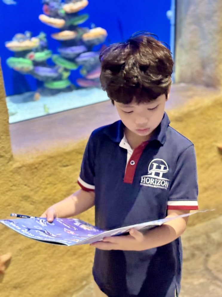  베트남 하노이 국제학교, 호라이즌의 도서관과 디지털 리터러시 프로그램