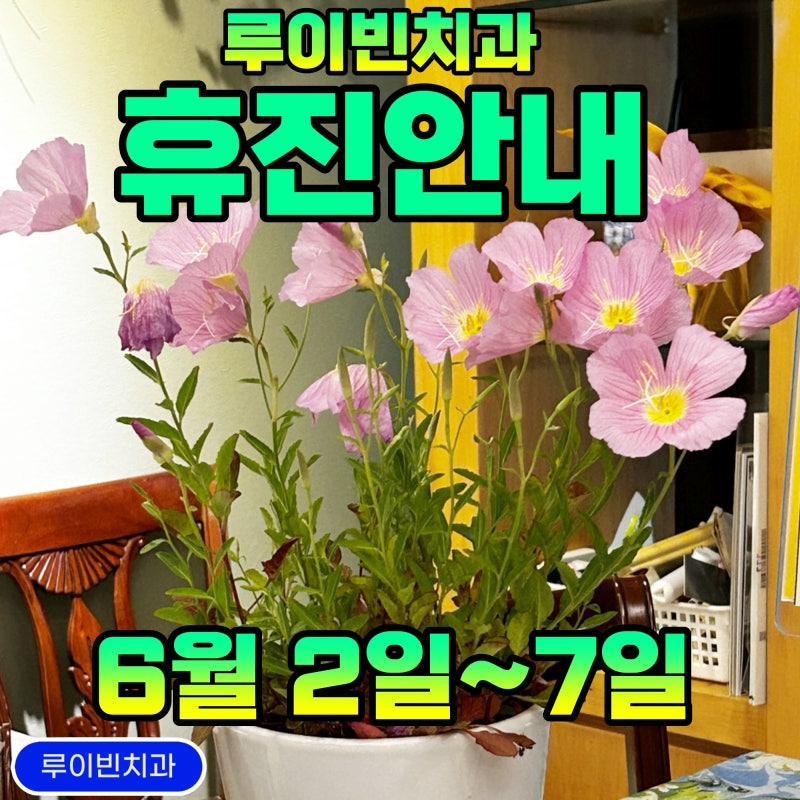 루이빈치과 휴진안내(6월 2일~7일까지)
