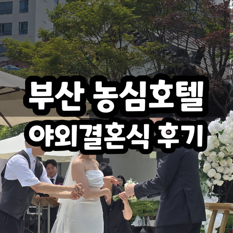  수도권 출발 부산 도착 농심호텔 야외 결혼식 웨딩 후기