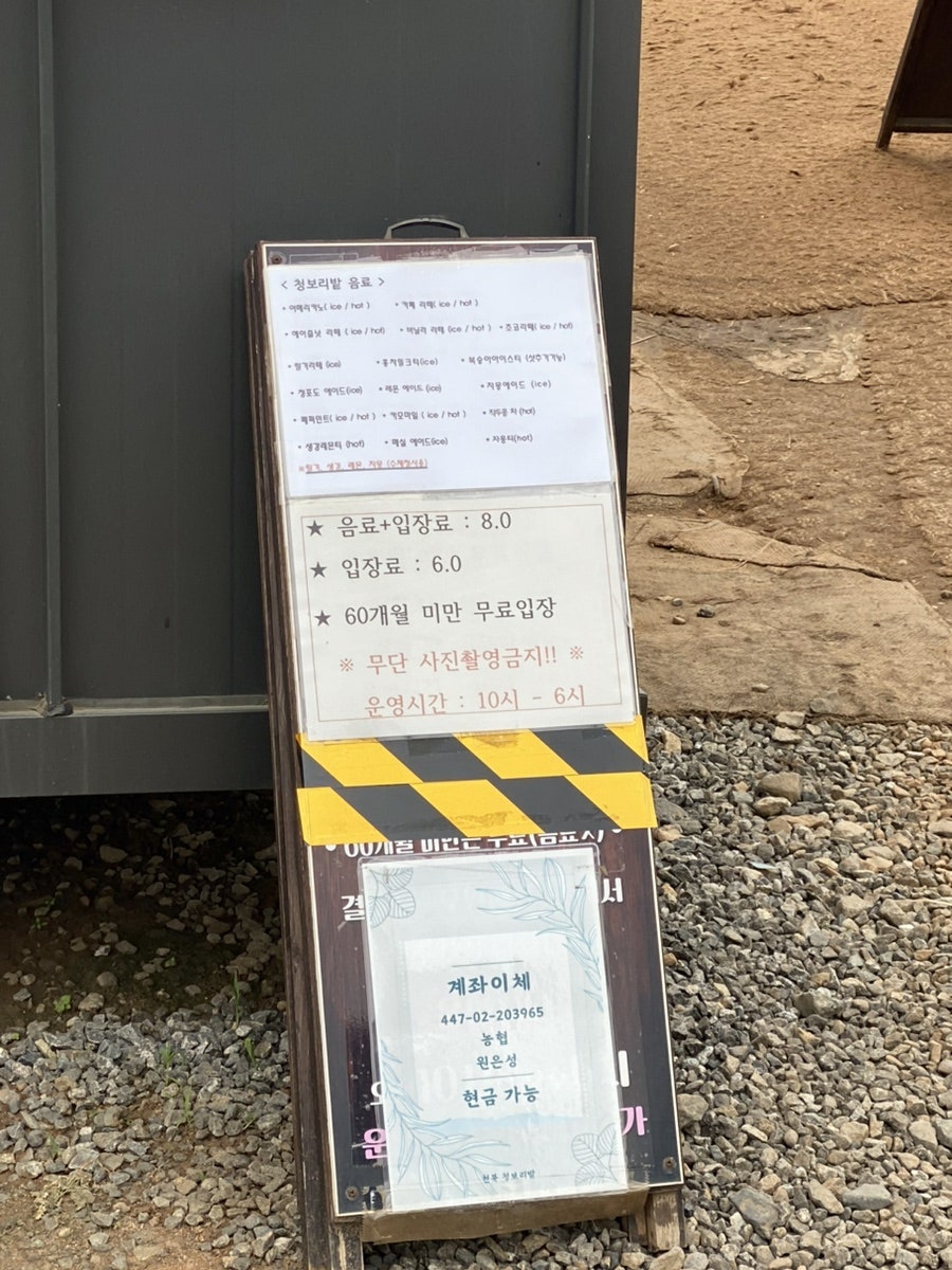 청보리창고 사진 6