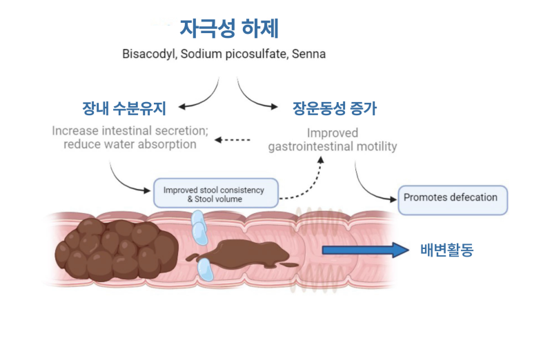 둘코락스 좌약 사용법 시간 후기 효과 부작용 약사가 설명해드려요 : 네이버 블로그