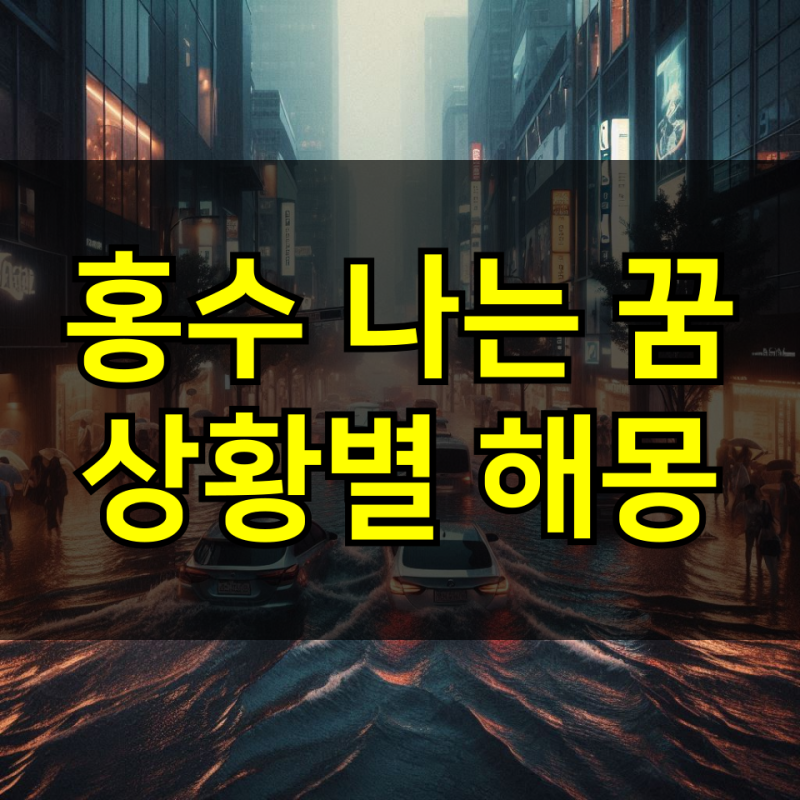 홍수꿈 마을에 홍수나는꿈 해몽 물난리나는꿈 풀이