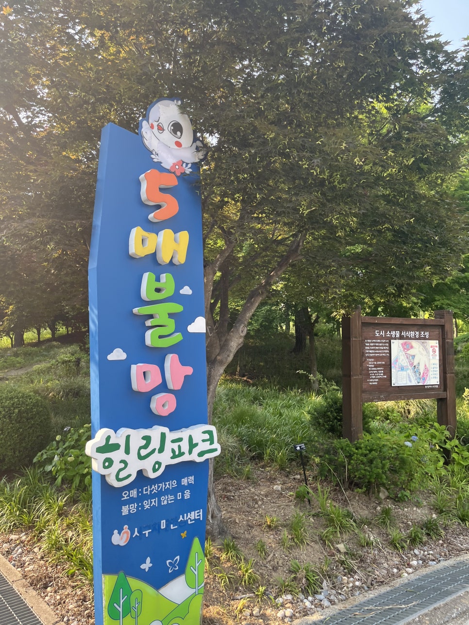 오매불망힐링파크 사진 4