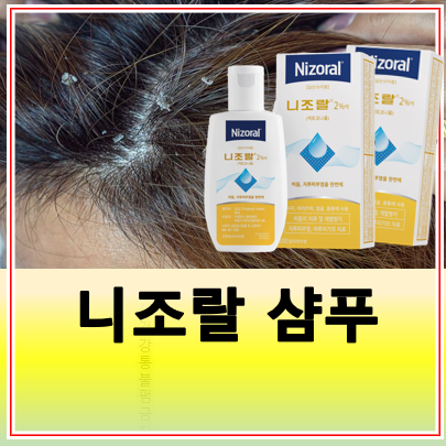 니조랄 샴푸 약국 처방 가격 비듬 등드름 사용법