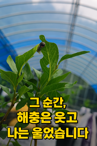 [해충] 블루베리 어분골드 살포 후 해충 피해… 모든 건 시기의 문제였다