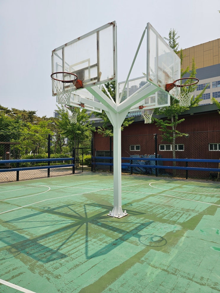  세종시 체육시설 재정비 사업 진행 중! 종촌동 아침뜰 근린공원 농구장 농구골대 재도색 작업