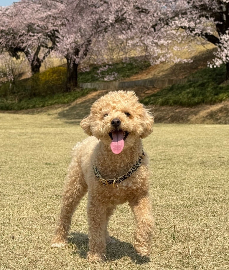 사진 2