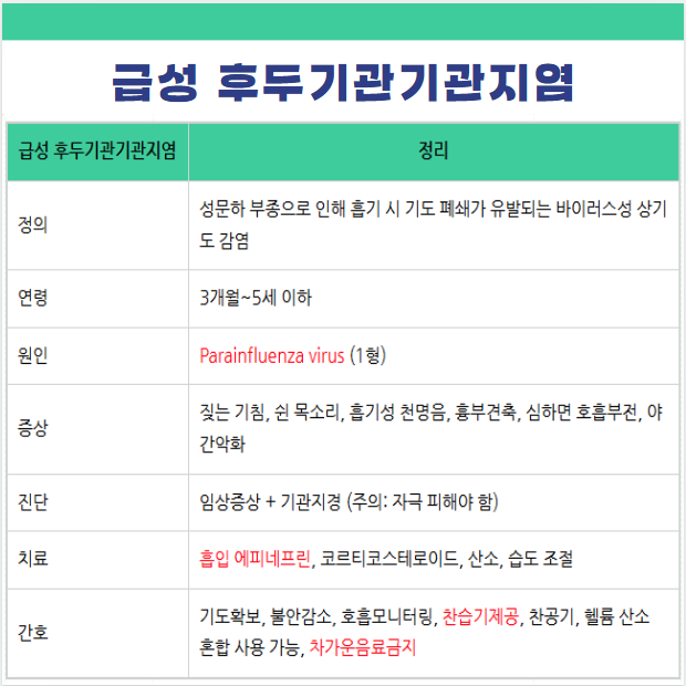 급성후두기관기관지염 원인 바이러스 초기 진행 증상 연령 검사 치료 간호 약물 예후